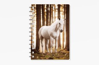 Obrázek z Notes 3D 9,3x13,5cm - bílý kůň (12) 